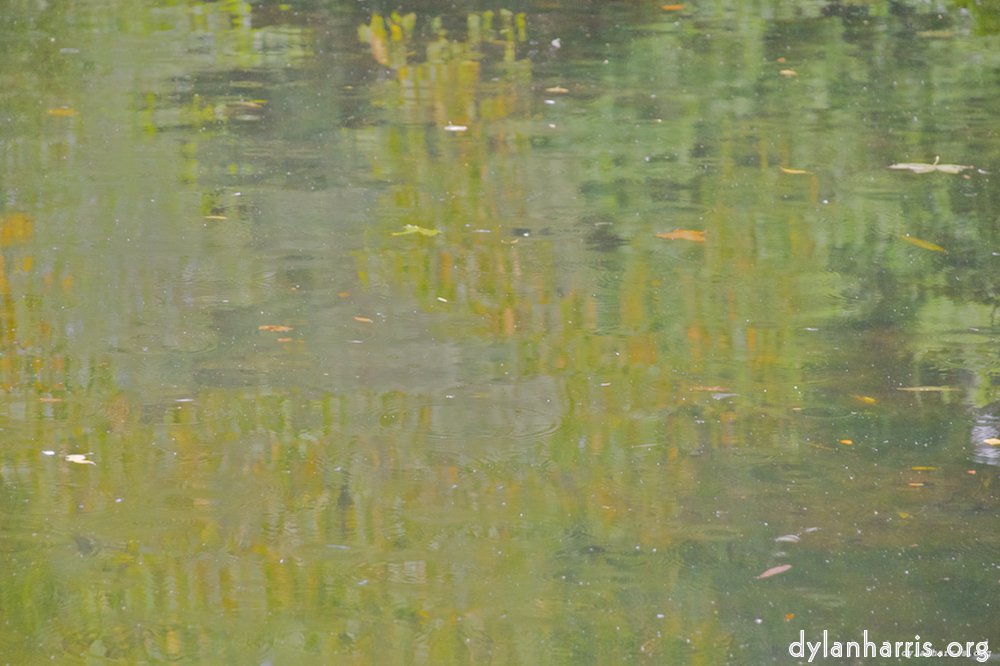 St. Stephens Green Pond