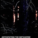 cover of metaverse