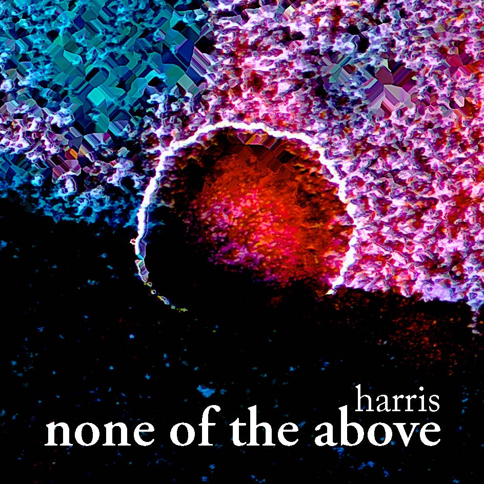 cover of none of the above