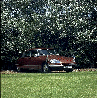 image: DS Rally, Ely (806K) [1998]