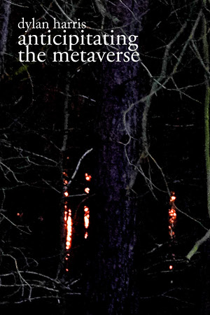 image: anticipating the metaverse cover