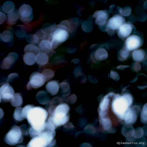 image: leaves, out of focus, out of colour
