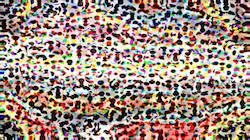image: an image
