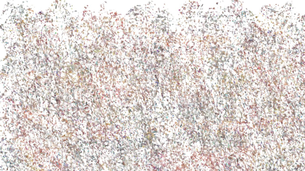 image: an image