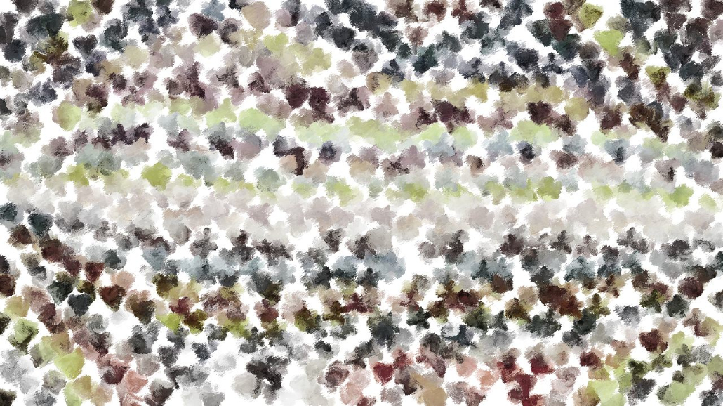 image: an image