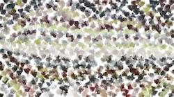 image: an image