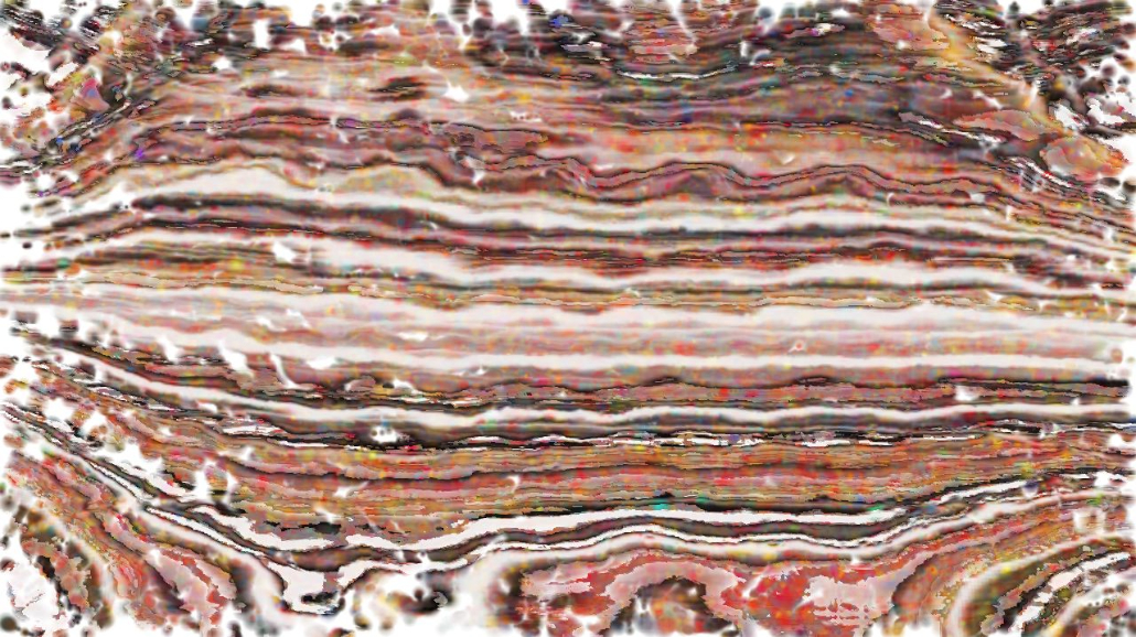 image: an image