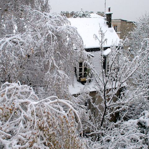 image: Parisien house in the snow