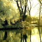 image: Image from the photoset ‘st.neots park (ii)’.