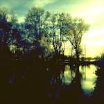 image: Image from the photoset ‘st.neots park (ii)’.
