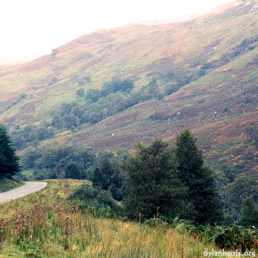 image: This is ‘highlands (xx) 4’.