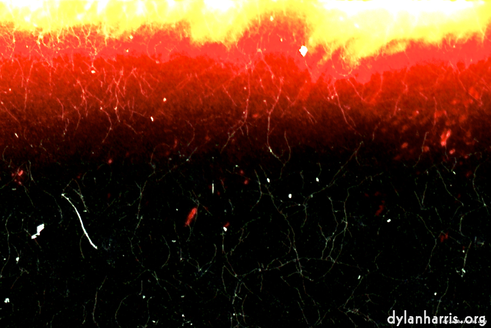 Image 'fire (xiii) 1'.