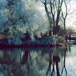 image: Image from the photoset ‘st. neots park (v)’.