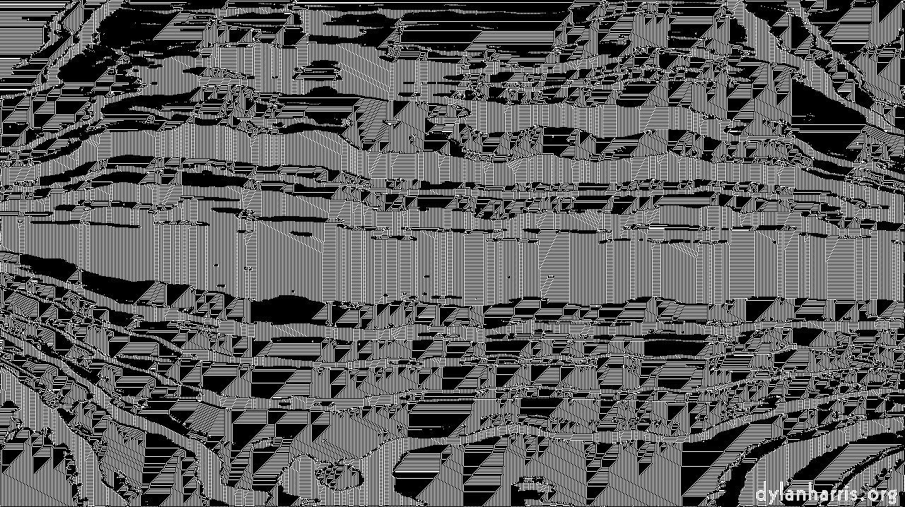 image: ca noise proc :: caoutline2