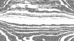 image: image from ca noise proc