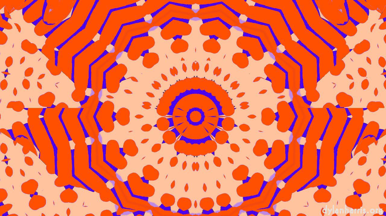 image: circular :: orangebloom