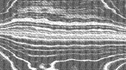 image: image from bw hatching