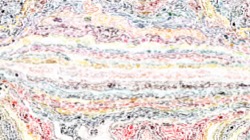 vibrant textures :: papertexbrush1