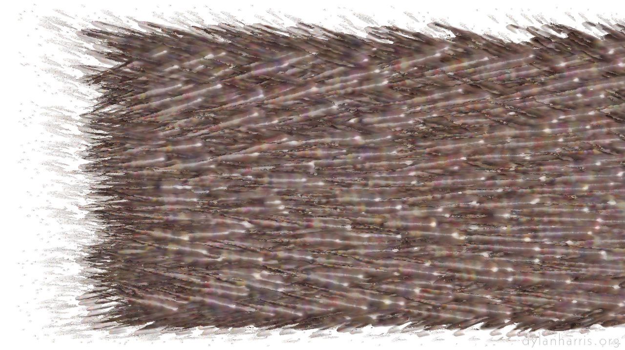 image: chuck's shooting stars :: proceduralparticlepath1